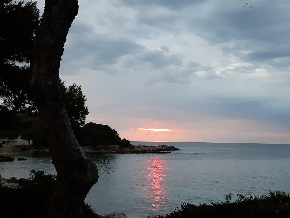 Lejlighed Can Caragol Cala Ratjada  Spanien